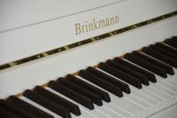 The German 100 year brand Brinkmann piano is stationed in China